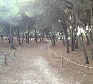 Wandern Can Picafort