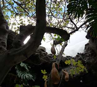 Fundacion Cesar Manrique