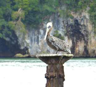 Ausflug Los Haitises