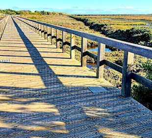 Der Weg ist das Ziel