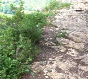 Premiumwanderweg "hochgelegen"