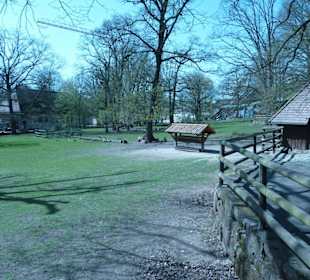 Dybowski-Hirsch - Anlage