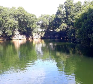 Mnarani Marine Schildkröten Conservation