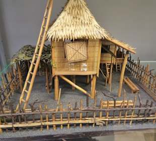 Im Schaumagazin des Übersee-Museums