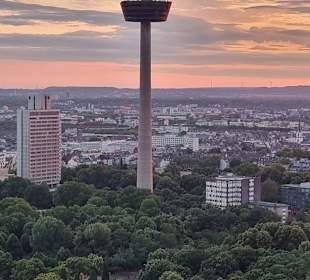 Colonius bei Sonnenuntergang