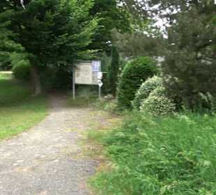 Keltengrab Kilchberg