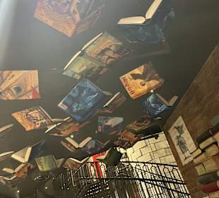 Harry Potter New York Store