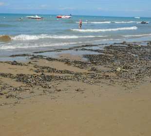So sahen die andere Strände aus.