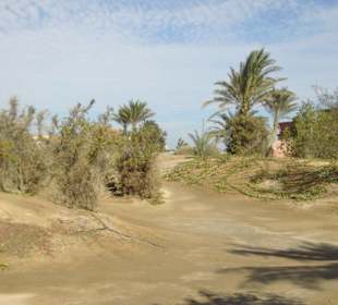 Dünen vor Zeytuna-Strand