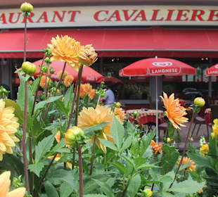 Sommerterrasse Restaurant Cavaliere