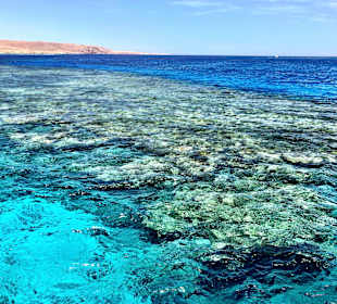 Schnorcheln Makadi Bay