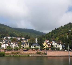 Weisse Flotte Heidelberg 