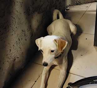 Stadtrundgang Side - Kumköy