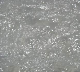 Super klares Meerwasser im Juli!