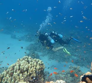 Schnorcheln Makadi Bay