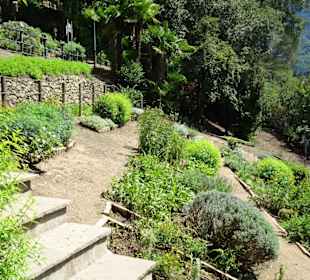 Im Kräutergarten des Tappeinerweges