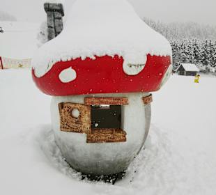 Wandern Hermagor - Pressegger See