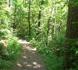 Wanderweg Sieben-Täler-Runde 