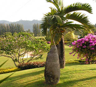 Phuket Country Club
