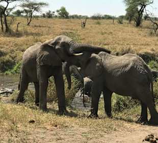 Tansania Ende September