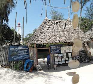 NUNGWI MNARANI AQUARIUM