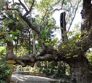 Rodini park u města Rhodos