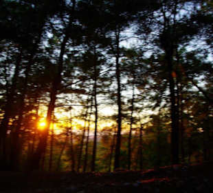 Sulahikulle - Vergessen Stadt