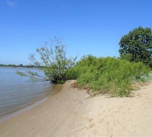 Strandspaziergang am Rissener Ufer