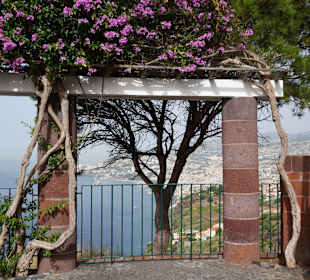 Wandern Funchal