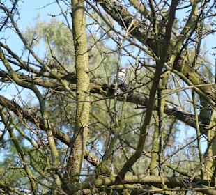 Militaerpark Rembertów