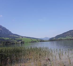 Walchsee