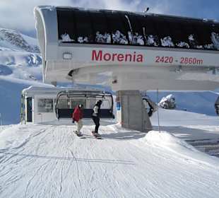 Morenia