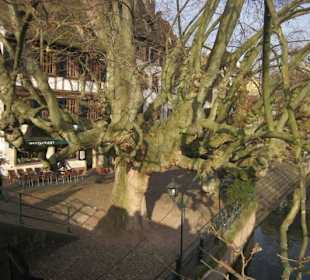 Altstadt Straßbourg