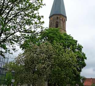Evangelische Stadtkirche