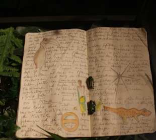 Einmal um die Welt  Notizen