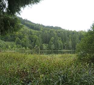 Wanderung bei Inzell