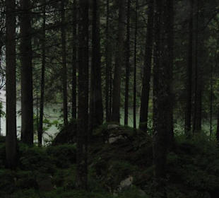 Im Zauberwald am Hintersee, gruselig schön