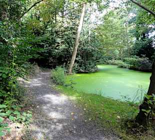 Spaziergang durch Thieles Garten