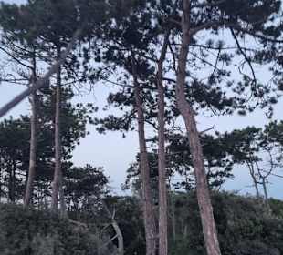 Hier führen zwei Wege zusammen