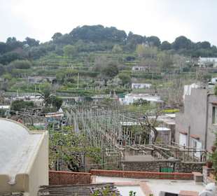 Am Weg zu Arco Naturale Gärtten