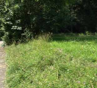 Wanderparkplatz Linden