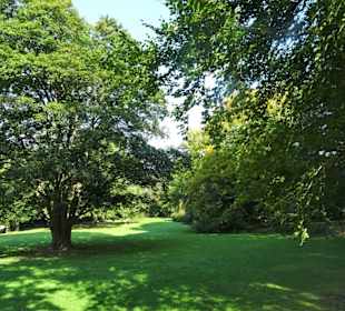 Rundgang durch den Park Forstbaumschule