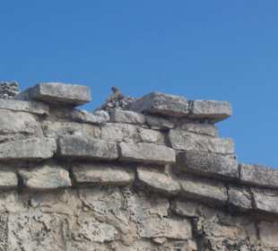 Maya Stadt Tulum