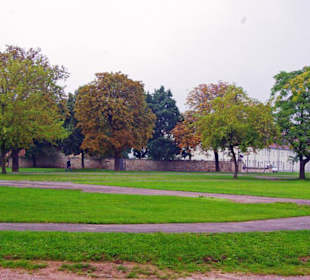 Die Zitadelle Petersberg 