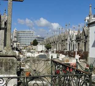 Cementerio de Oporto