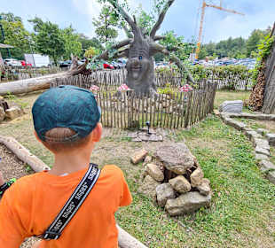Stadtrundgang Quedlinburg