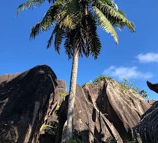 Anse sur d‘argent