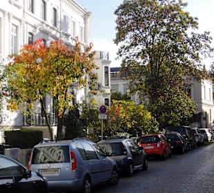 Herbstspaziergang durch das Ostertor-Viertel