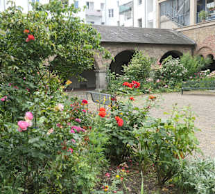 Im Kreuzgang-Garten von St. Maria im Kapitol