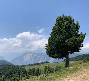 Wandern Ochsengarten